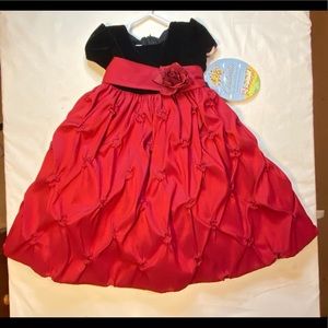 Holiday dress 2T